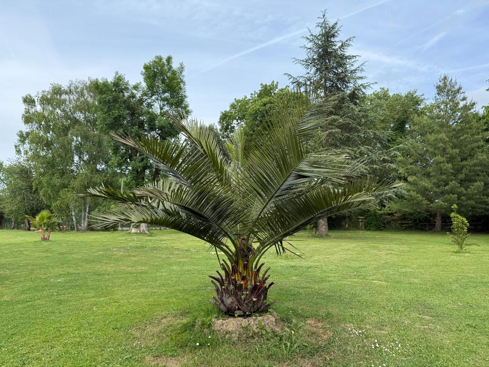 Appartement Familial Au Bord De La Marne, Jardin 8000M2, Piscine, Court De Tennis, Terrasse, Parking Gratuit Proche Disneyland 伊斯勒勒维莱努瓦 外观 照片